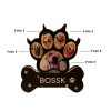 foto lamp hond locaties