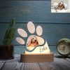 led lamp hond