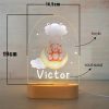 Maan nachtlamp voor kinderkamer met naam