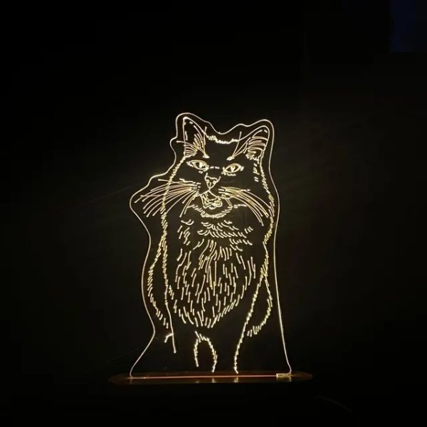 Foto lamp van kat hand getekend met naam gepersonaliseerd